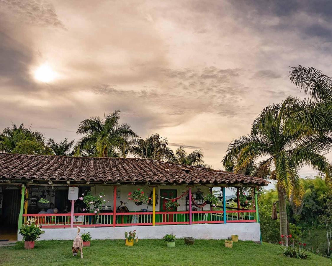 Rancho Chihuahua Hotel Filandia Kültér fotó