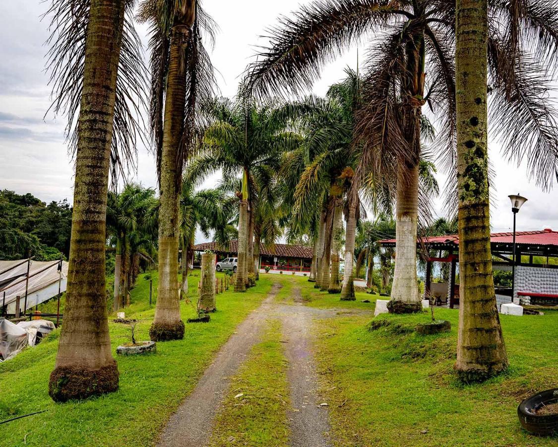 Rancho Chihuahua Hotel Filandia Kültér fotó